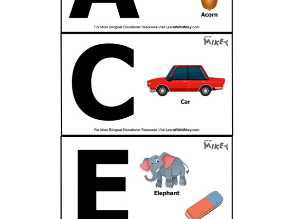 Alphabet Flashcards