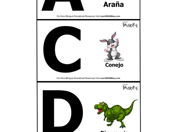 Alfabeto Flashcards