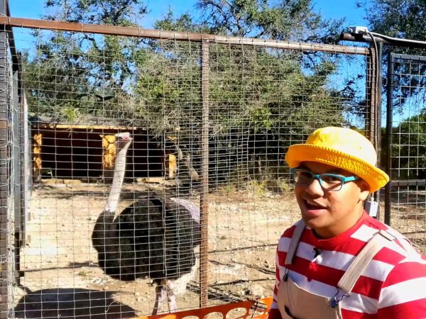 Mikey Visits The Austin Zoo